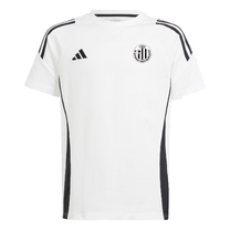Pánské triko adidas Tiro 24 Sweat bílé